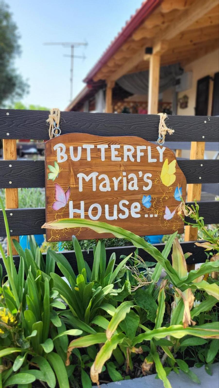 شقة Housebutterfly توروني المظهر الخارجي الصورة
